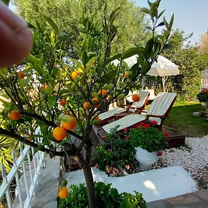  Ferienhaus Nikos Stone House 80m From The With Wifi